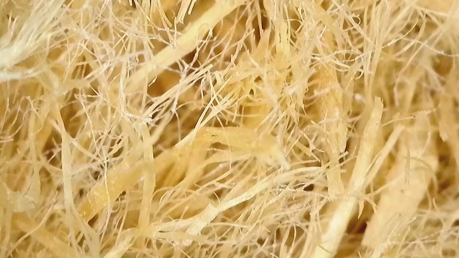 Steico 036 Flex-Holzfaser-D&auml;mmplatte